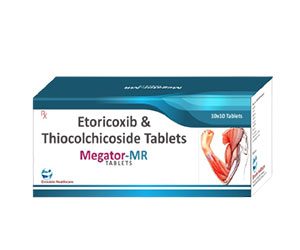 megator-mr-product